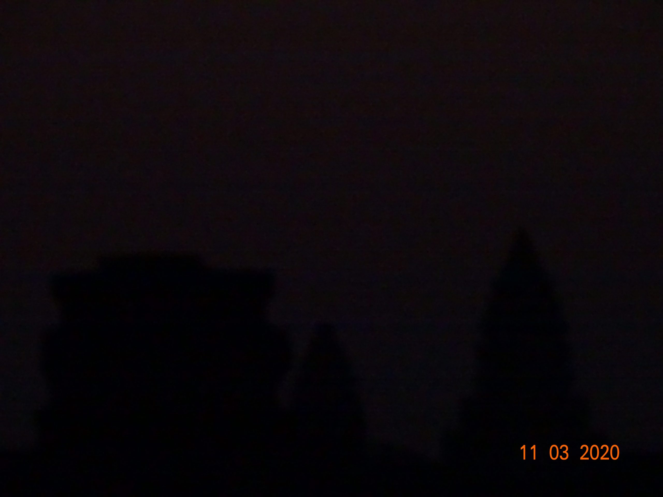 20200311_064255