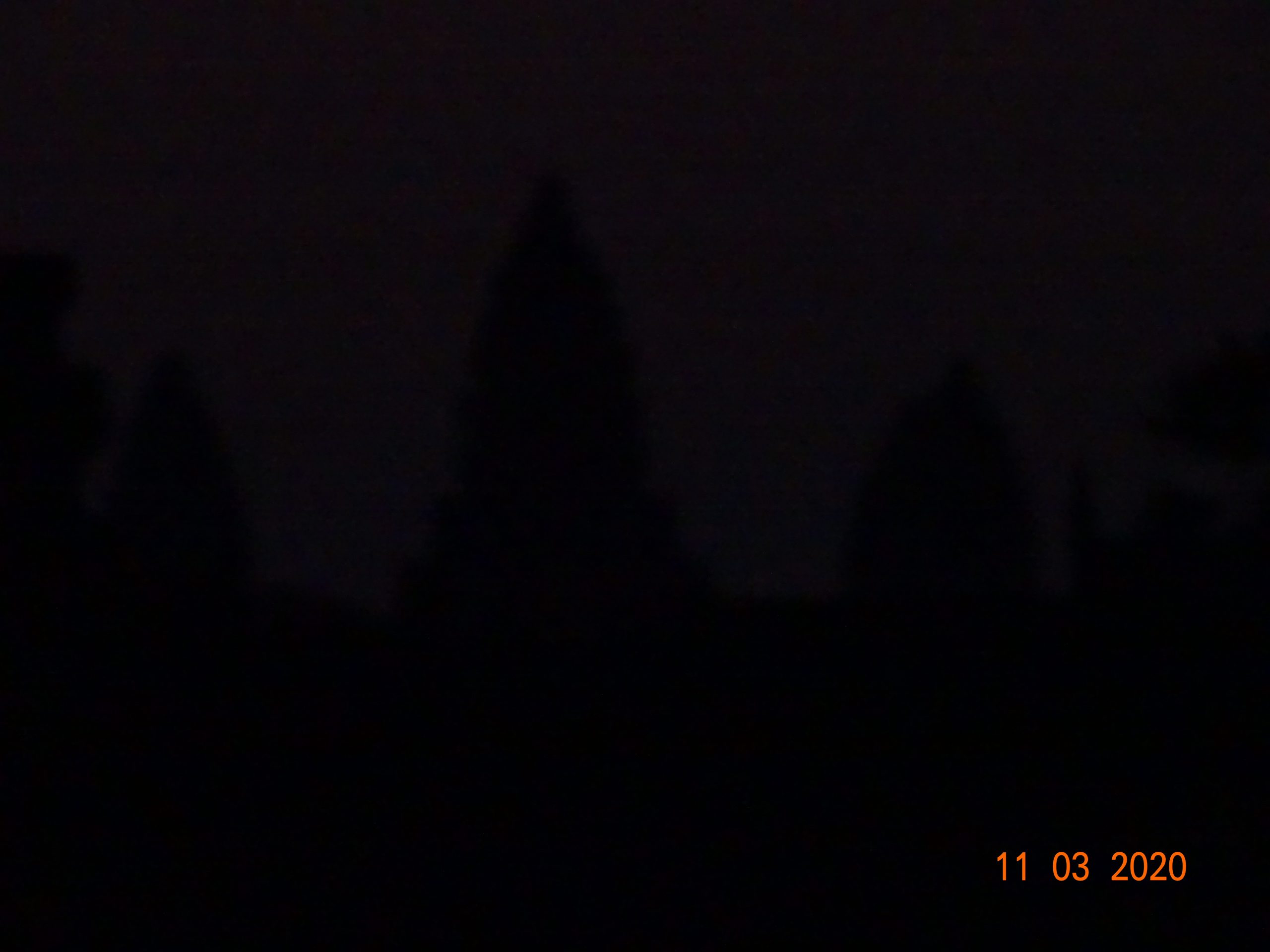 20200311_064259