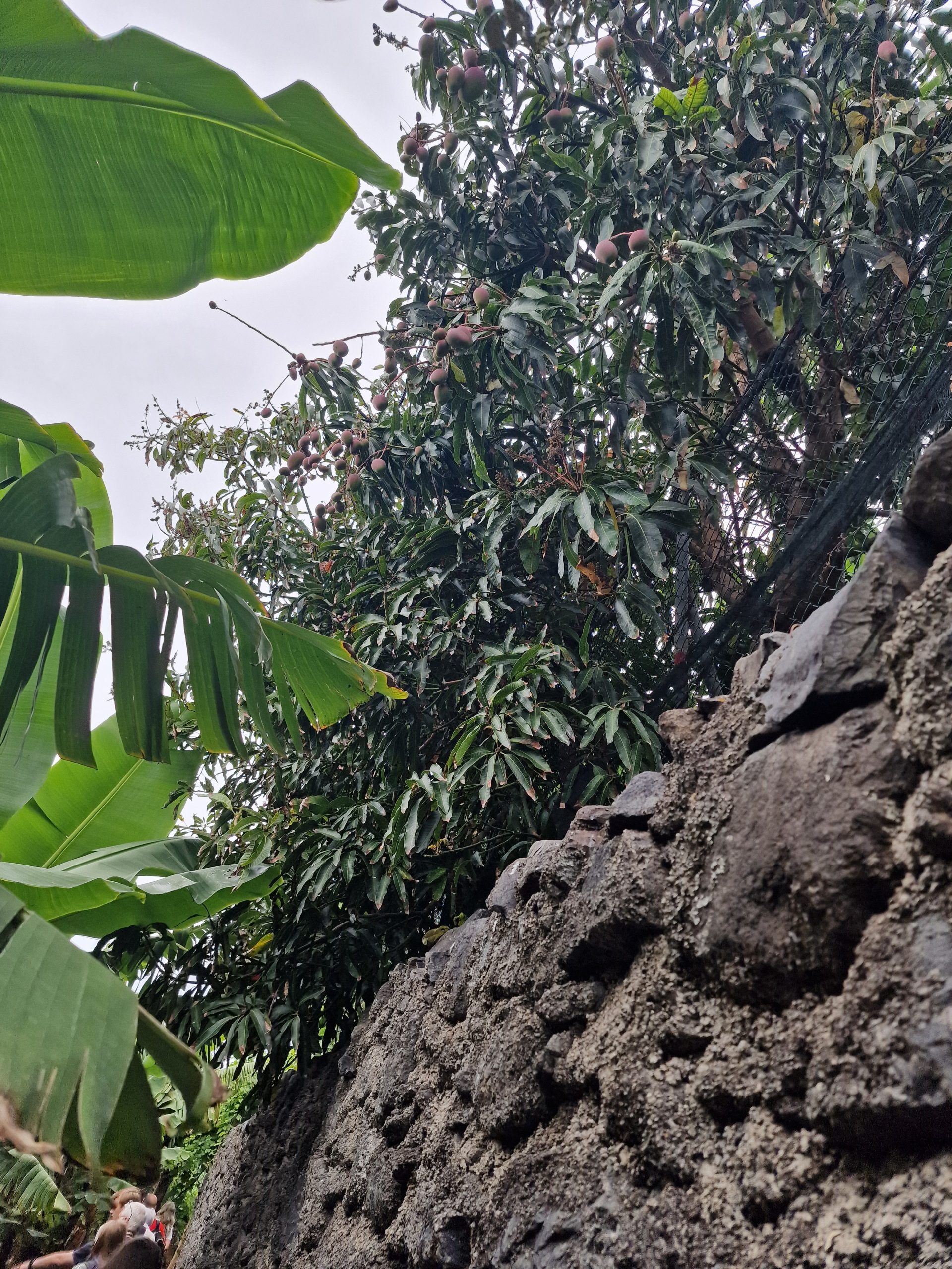 2025-07-09_11-59-51_1