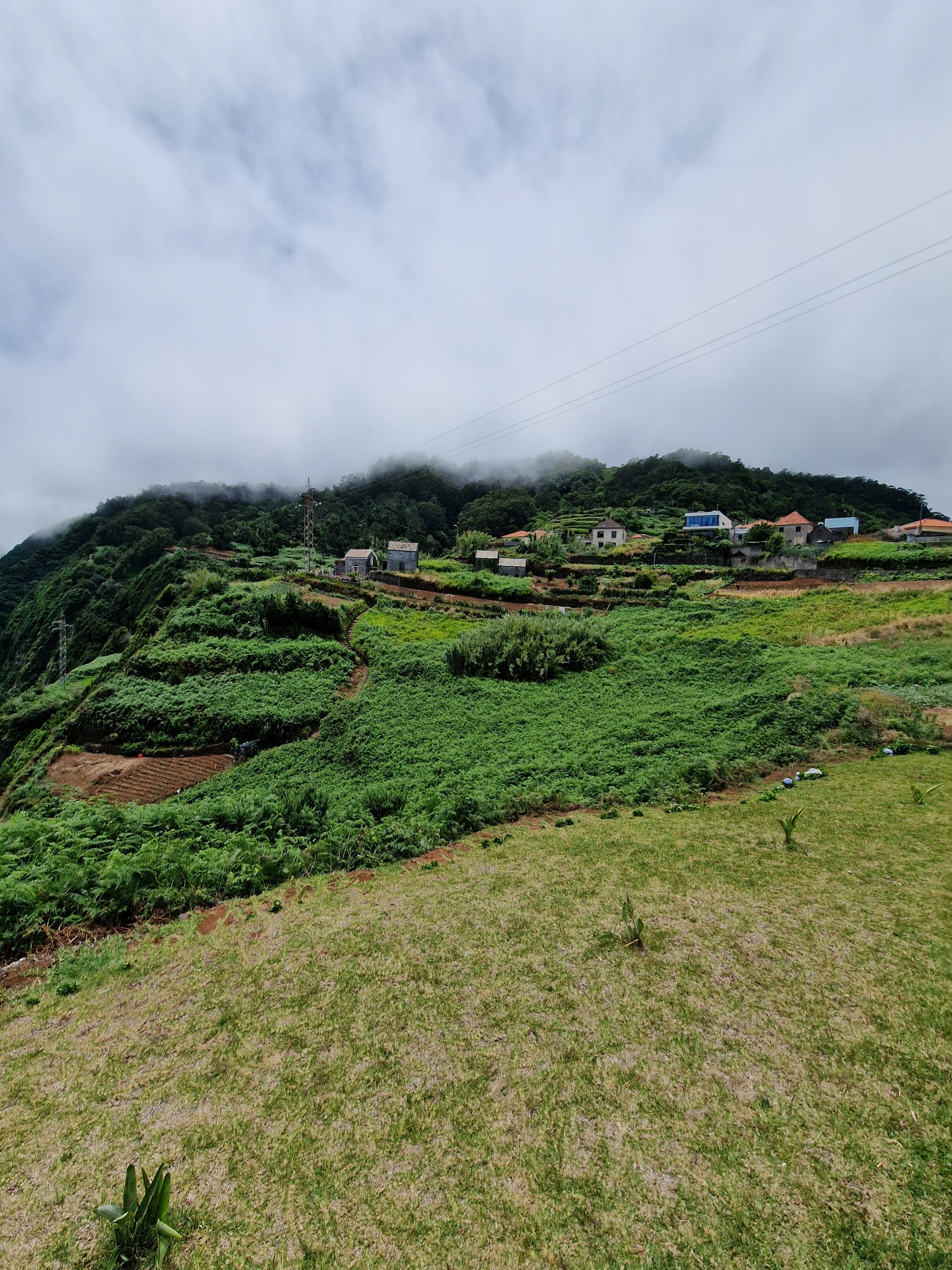 2025-07-09_13-24-20_1