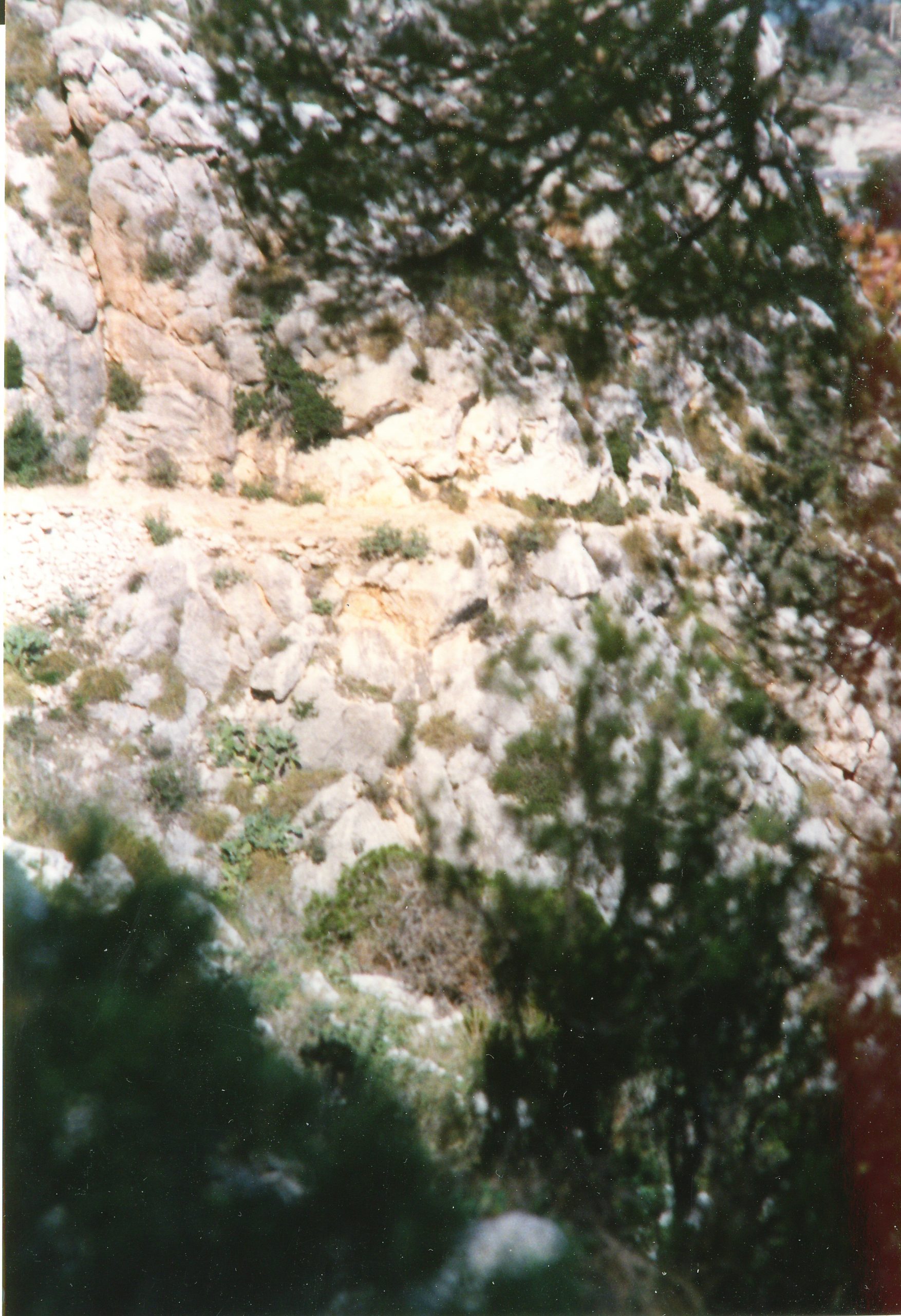 Image90