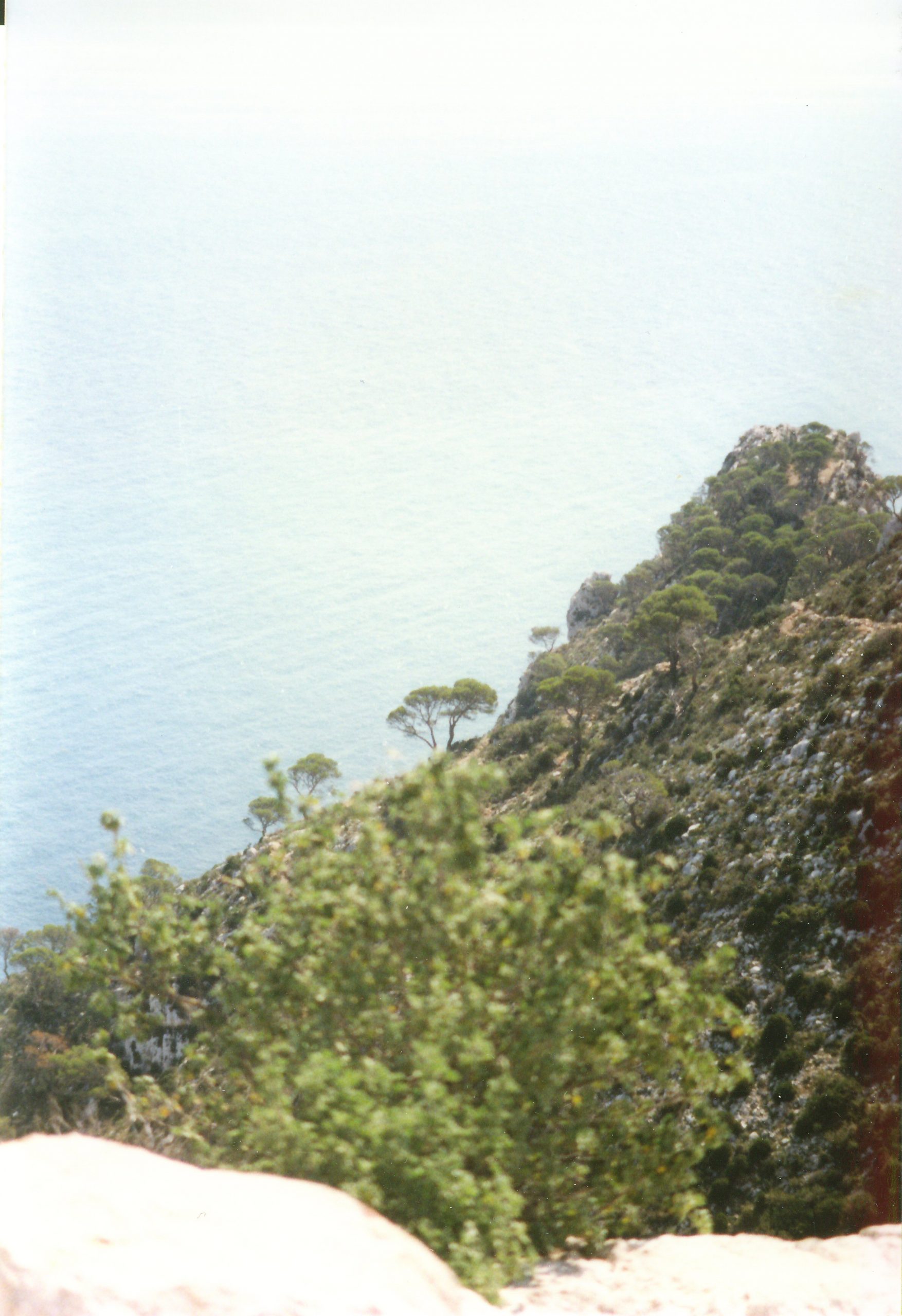 Image91