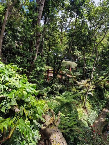 2025-07-01_15-55-45_1