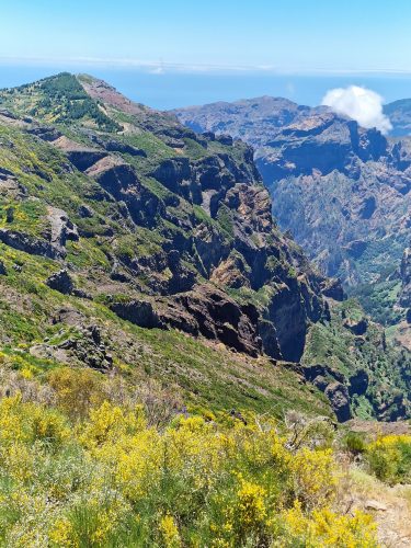 2025-07-07_15-38-30_1