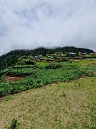 2025-07-09_13-24-20_1