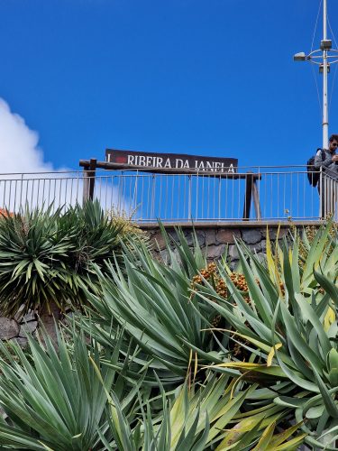 2025-07-09_13-27-03_1